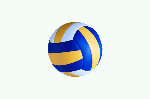 Champ Volley
